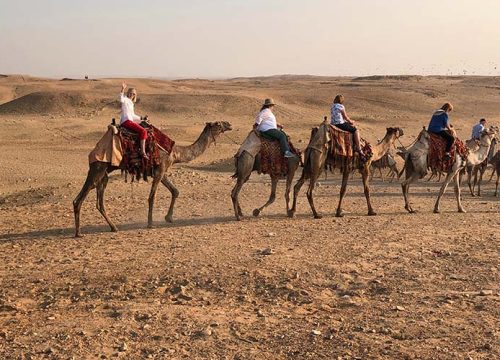 giza-camel-ride-egypt