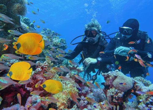 Giftun Island Snorkeling Trip from Hurghada