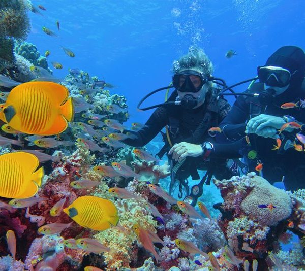 Giftun Island Snorkeling Trip from Hurghada