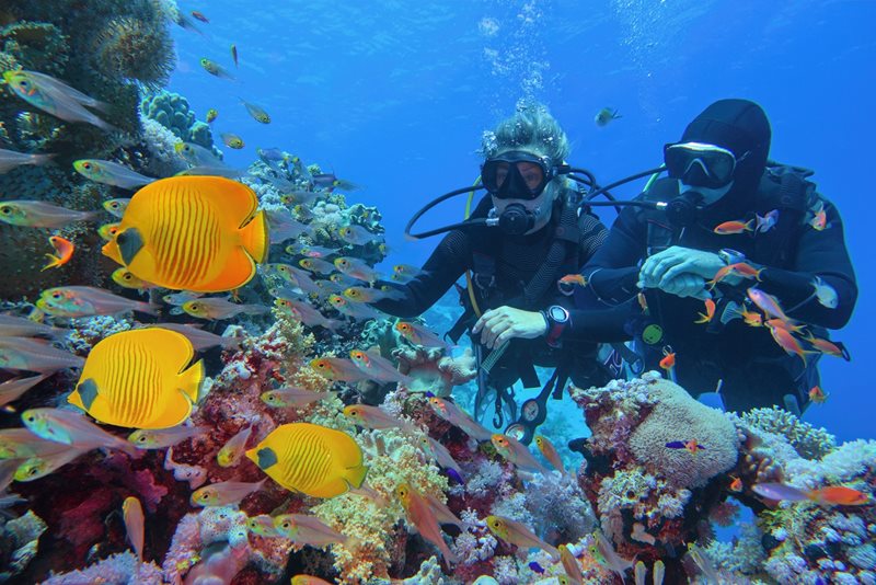 Giftun Island Snorkeling Trip from Hurghada