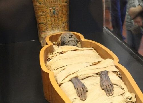Royal Mummies & Civilization Tour | NMEC & Old Cairo